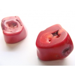 Korál, naturální, 20 gr. 