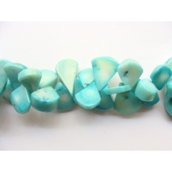 Korál, naturální, 20 gr. 